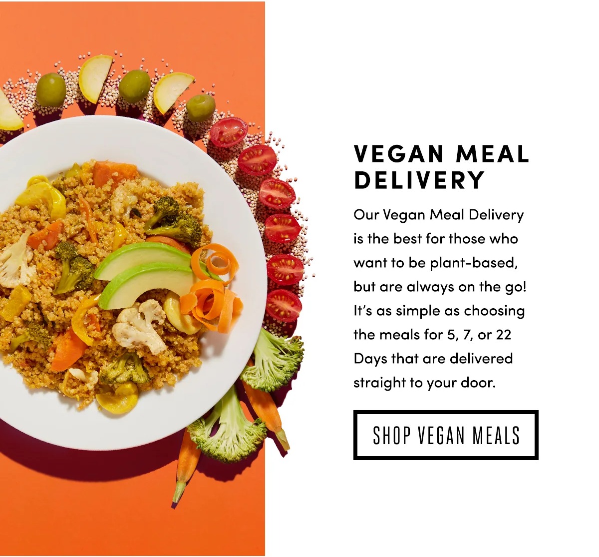 Vegan Meal Delivery